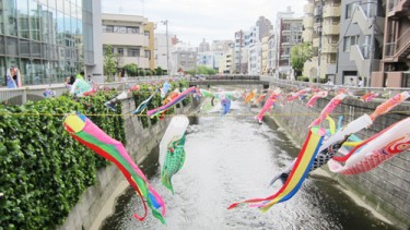 強い風に乗って鯉のぼりが勢いよく泳ぎます
