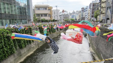 強い風に踊る鯉のぼり