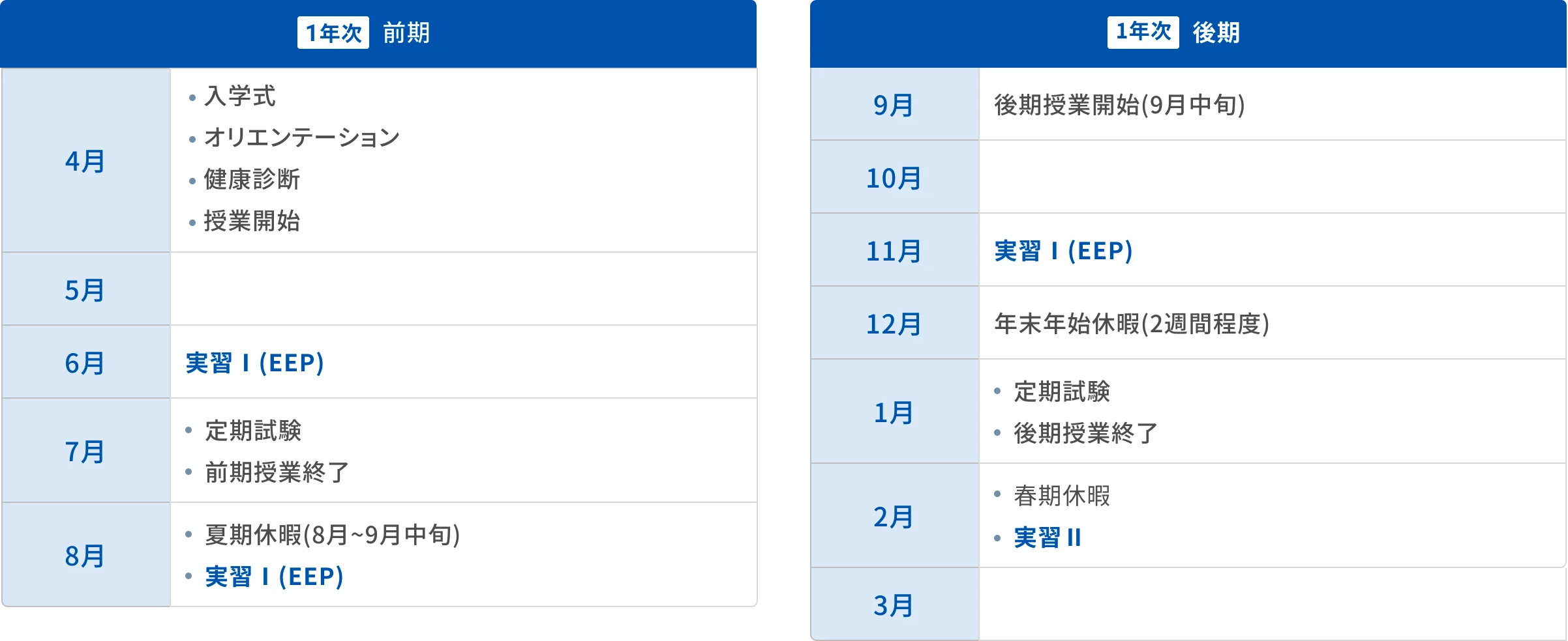 1年次年間スケジュールの図版